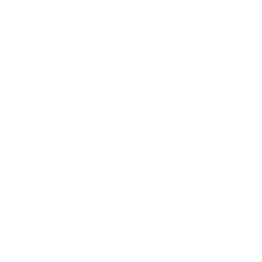 Seta